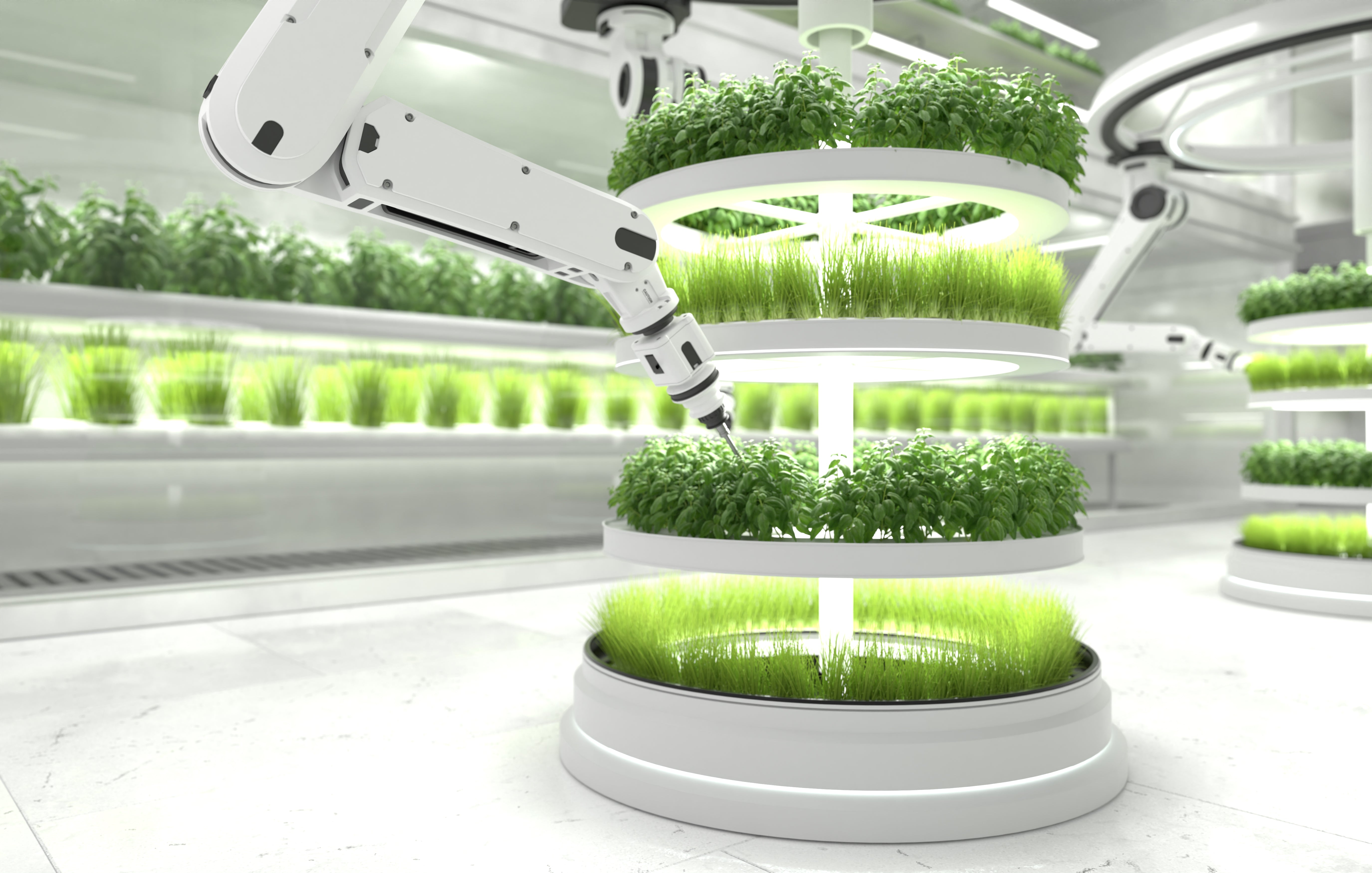 Hydroponic Innovations: The Future of Sustainable Agriculture – The ...