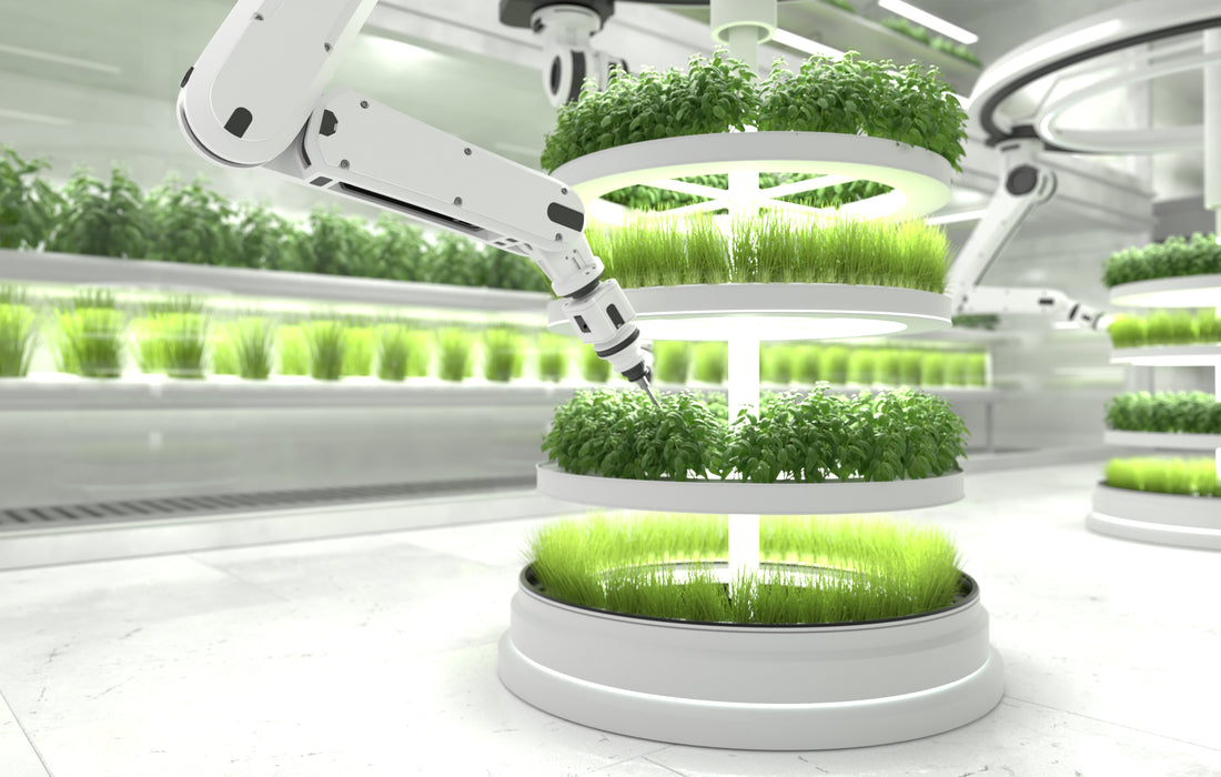 Hydroponic Innovations: The Future of Sustainable Agriculture