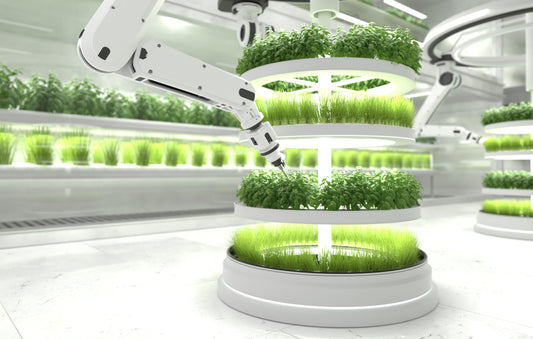 Hydroponic Innovations: The Future of Sustainable Agriculture