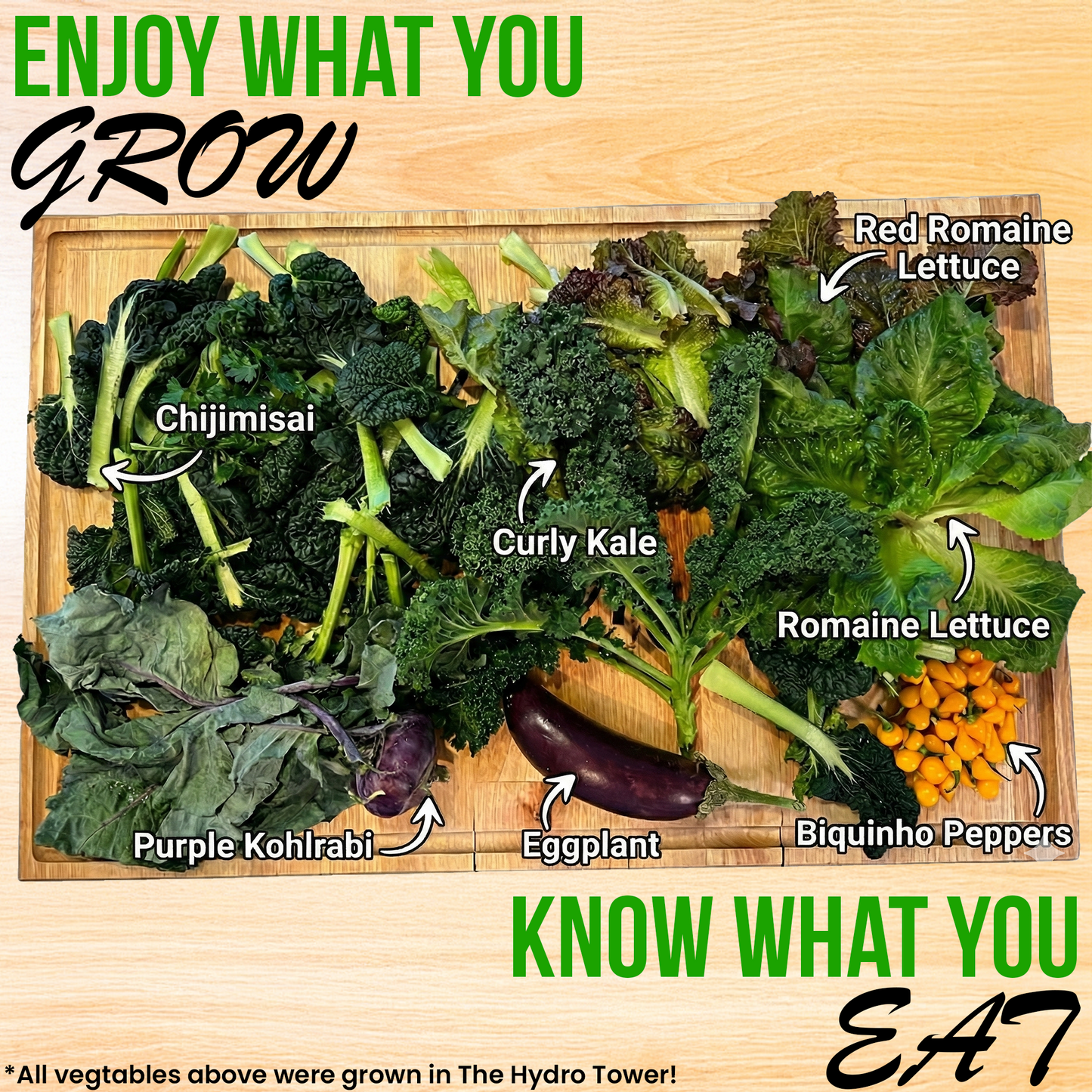 Hydroponic Tower Planter - Complete Plant Growing Starter Kit - Vertical Indoor System for Herb and Vegetable Gardening, Microgreens and More - Includes Grow Light Setup, Smart WiFi Control | The Hydro Tower® | Model A