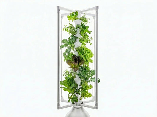 Vertical hydroponic garden with green plants on a white background