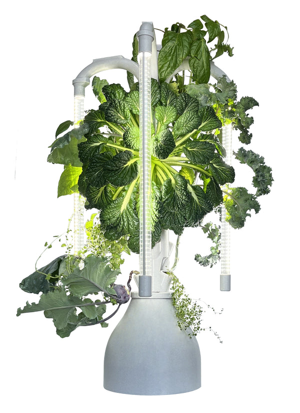 The Hydro Tower® Hydroponic Tower with Integrated Lighting and Watering Systems | Simple Setup | Easy Upkeep | Fast Growth | (CT2 Model)