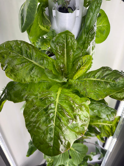 Model X Hydroponic Gardening Tower | The Hydro Tower®