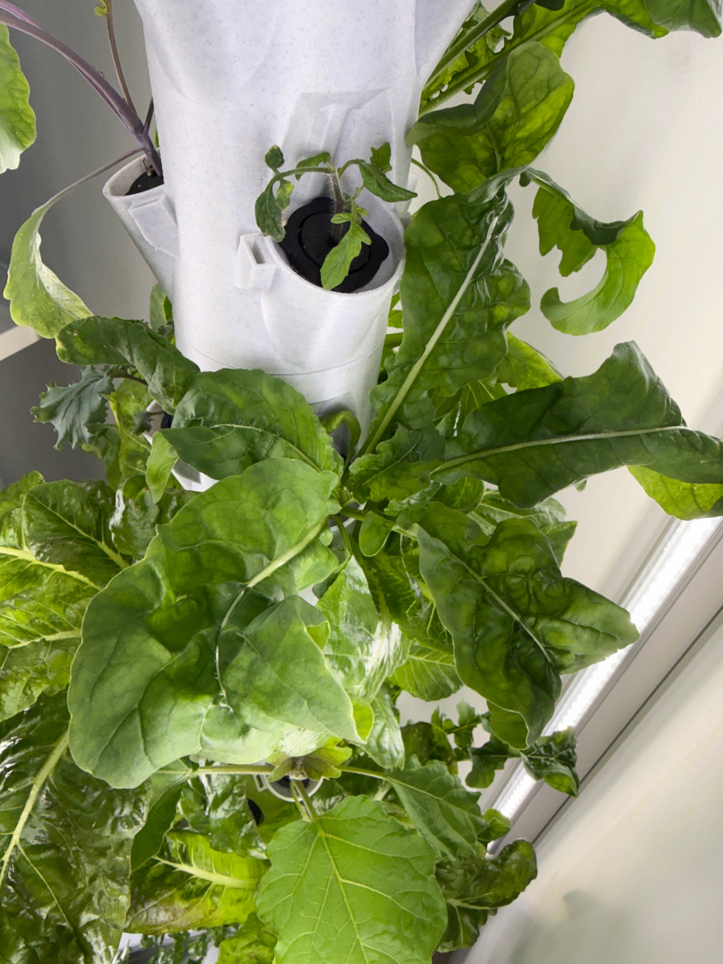 Model X Hydroponic Gardening Tower | The Hydro Tower®