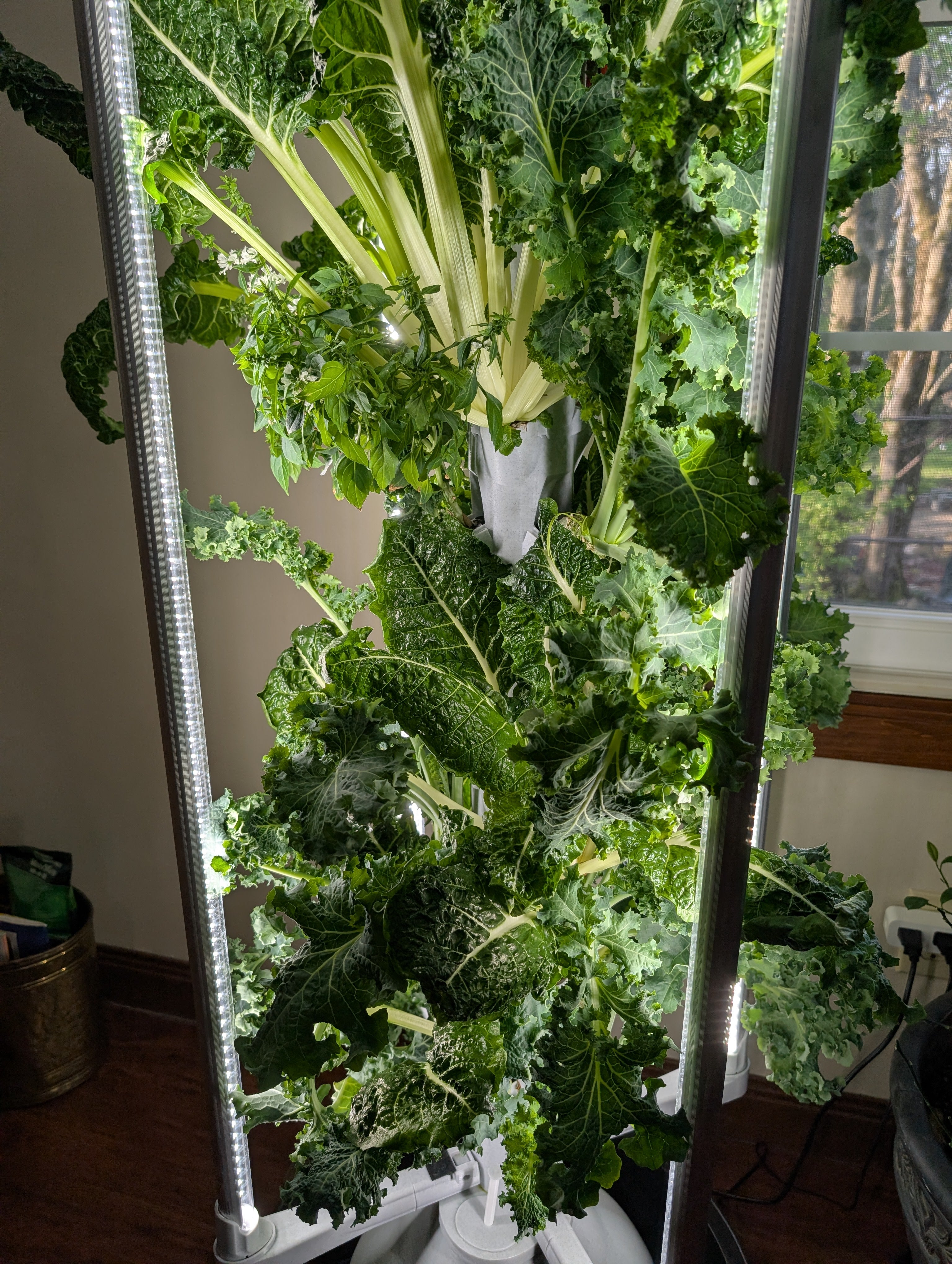 Model X Hydroponic Gardening Tower – The Hydro Tower
