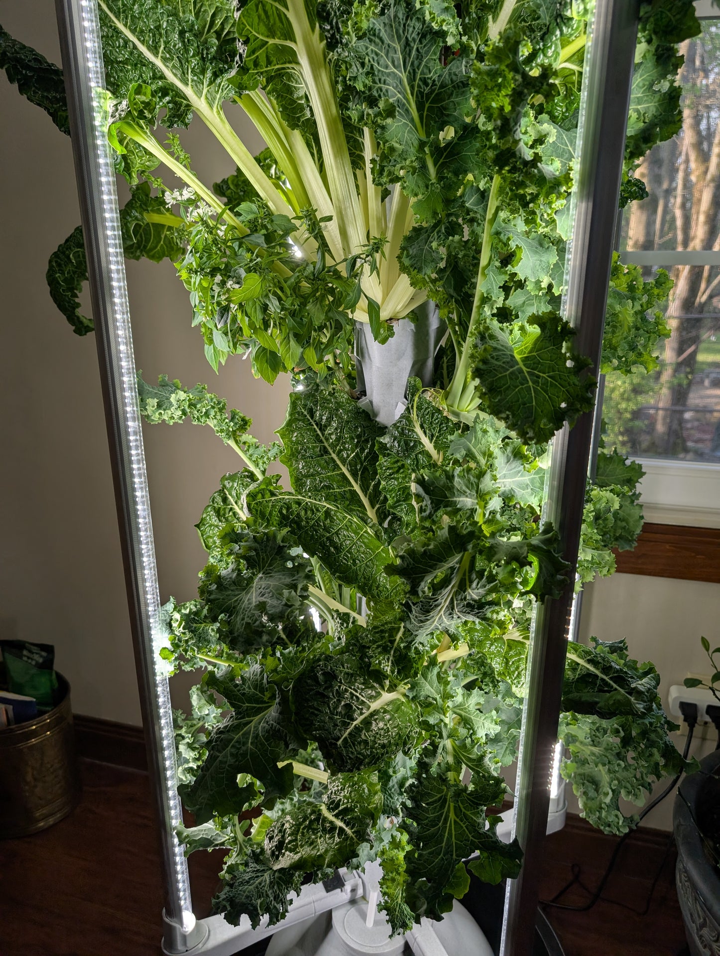 Model X Hydroponic Gardening Tower | The Hydro Tower®