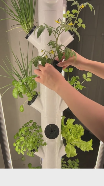 Hydroponic Plant Covers – Blocks Light for Algae Prevention, Gardyn & Hydro Tower Compatible