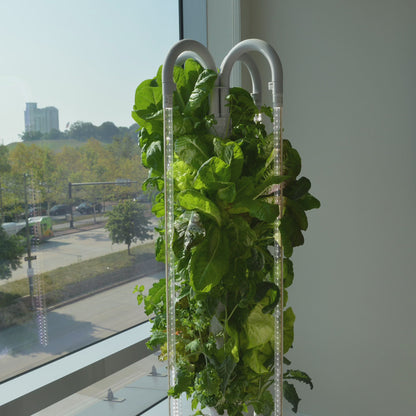 The Hydro Tower® Hydroponic Gardening Tower for 36 Plants with Integrated Lighting and Watering Systems (HD1.5 Model)