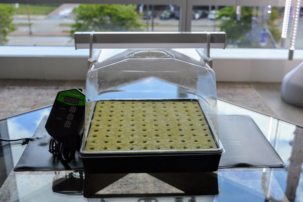 Hydro Designs Seed Starter Propagation Kit