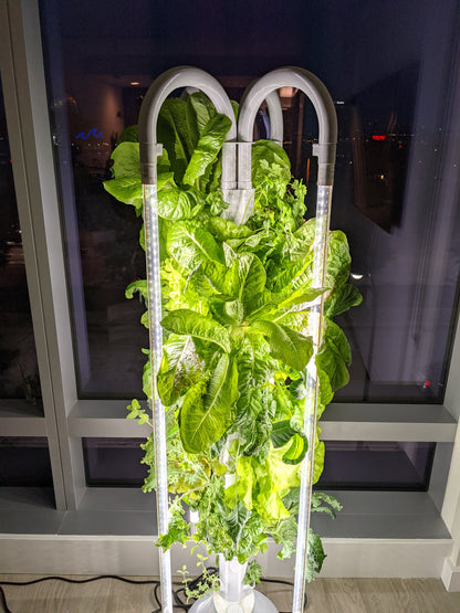 The Hydro Tower® Hydroponic Gardening Tower for 36 Plants with Integrated Lighting and Watering Systems (HD1.5 Model)